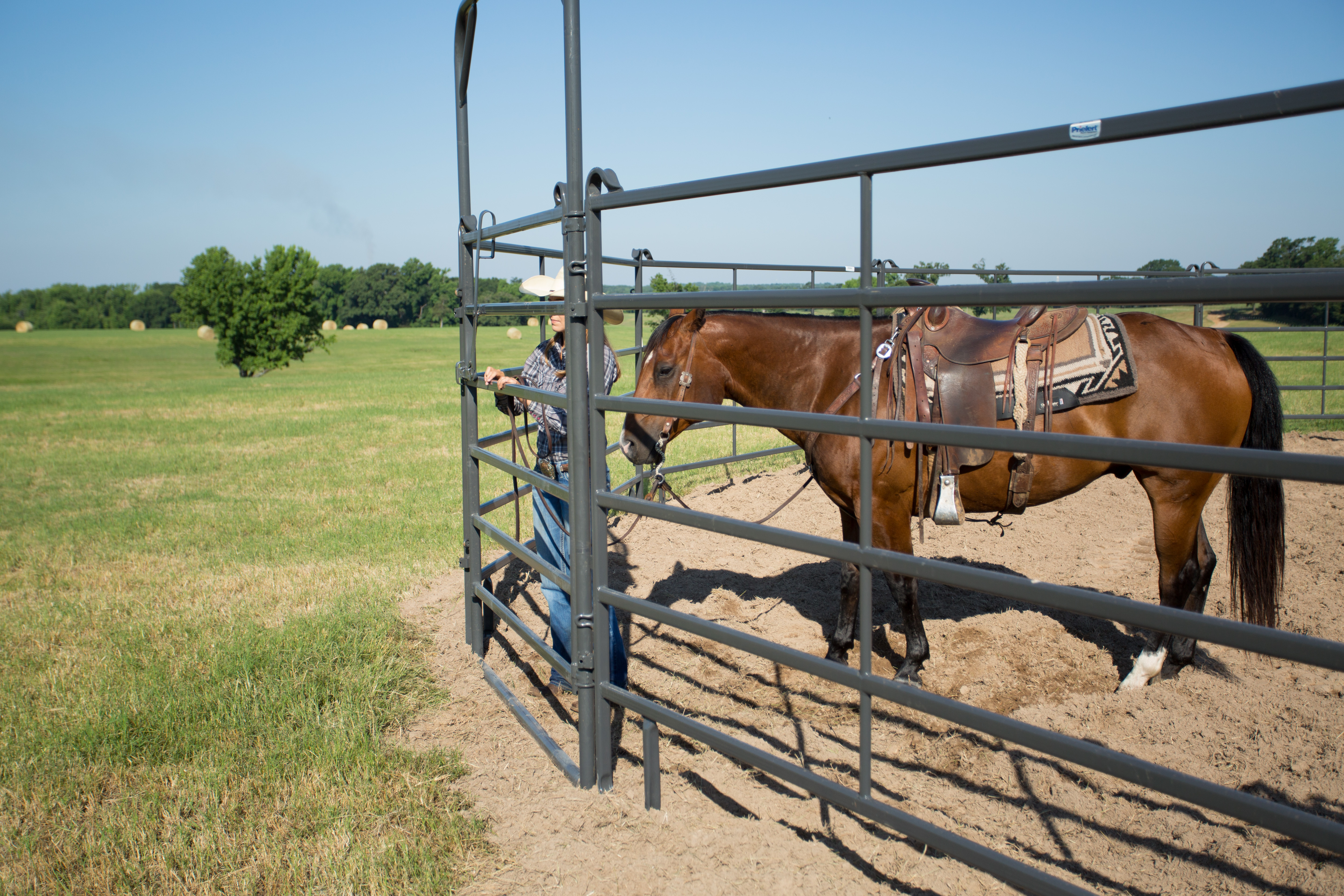 Premier Tall Round Pen PPT50 52.jpg